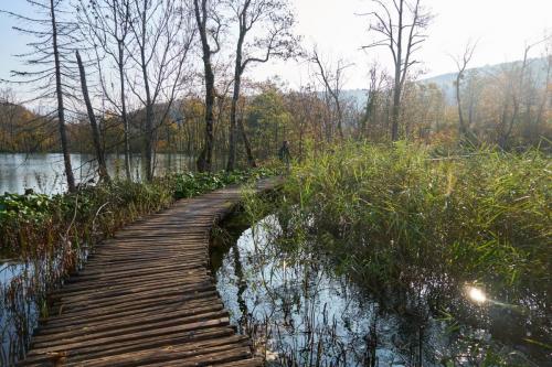 Plitvice Upper Lakes  Trail HWe had it all to ourselves