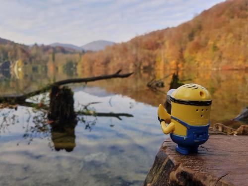 Travelling Minion doing some reflecting at Plitvice